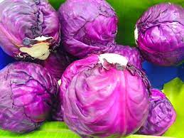 Red Cabbage (Kappes).